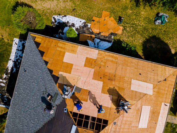 Best Flat Roof Repair Services  in Bolindale, OH